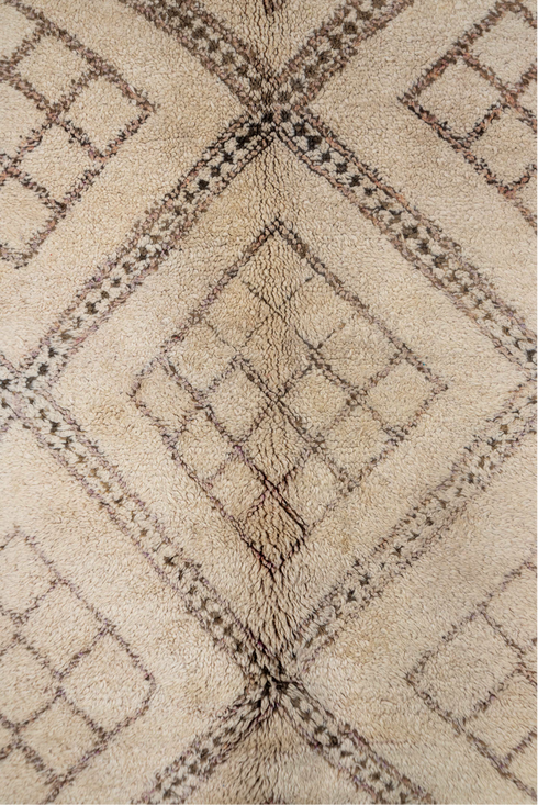 Vintage Moroccan Area Rug (6' x 12')